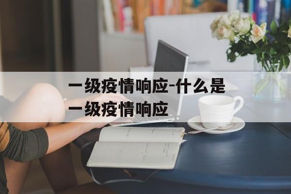 一级疫情响应-什么是一级疫情响应